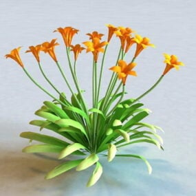 Canna blomstrende plante 3d-model