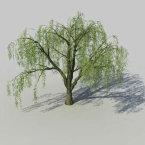 Model 3d Pohon Willow Menangis