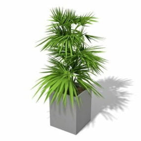屋内鉢植え3Dモデル