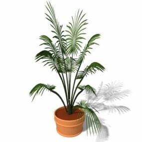 Indoor Potted Palm Plant 3d model
