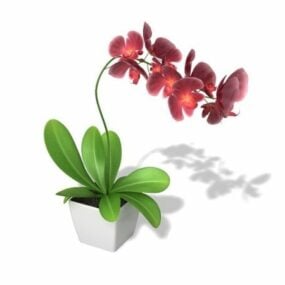 Kırmızı Çiçekli Saksı Bitki 3D model