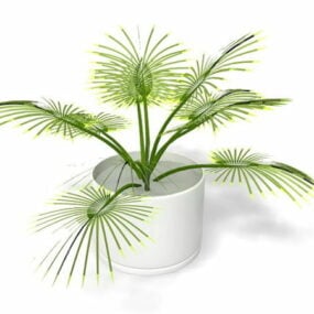 盆栽棕榈树3d模型