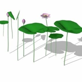 نموذج ثلاثي الأبعاد لنباتات اللوتس الهندية المائية