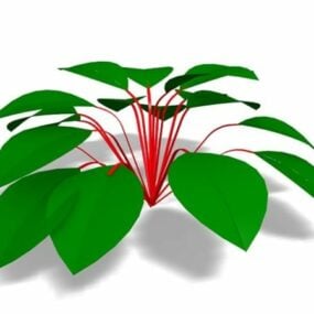 丸い葉を持つ観葉植物3Dモデル