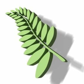 Leaf Arrangement 3d-model