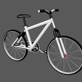 Lady City Bicycle 3d model
