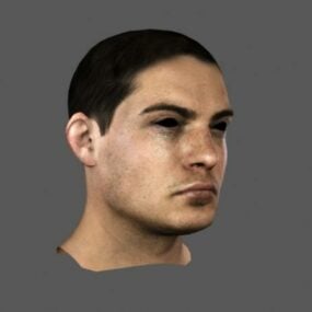 نموذج رأس الرجل ثلاثي الأبعاد