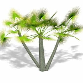3d модель гнома Віялова пальма