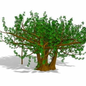مدل سه بعدی درخت شاخ و برگ
