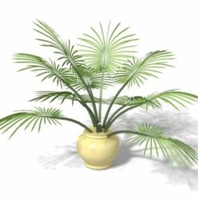 Potted Palm Plant 3d model