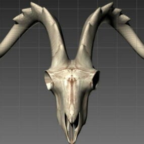 Ram Skulls 3d model