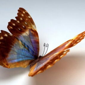 Orange Butterfly 3d-modell