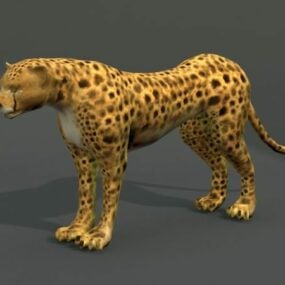 Guépard d'Afrique australe modèle 3D