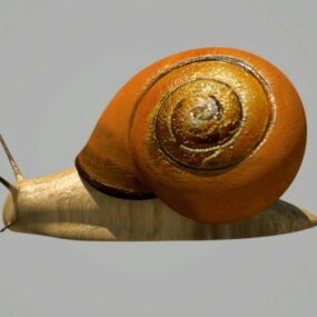 Snail Rig 3d μοντέλο