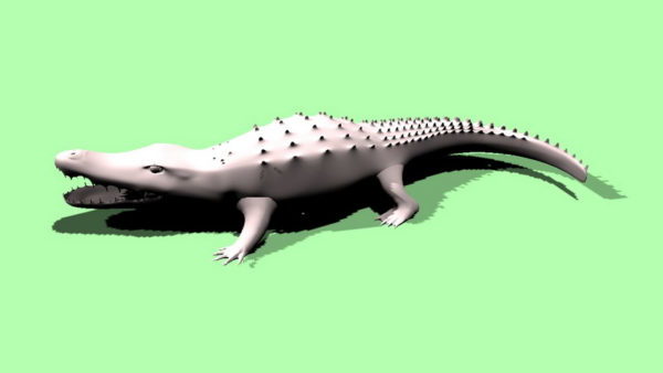 Amerikaanse krokodil