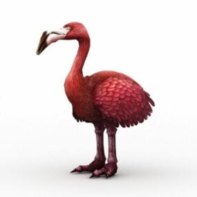 Toekan Ras Struisvogel 3D-model