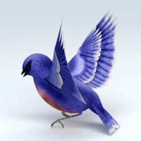 Modelo 3d del colibrí azul