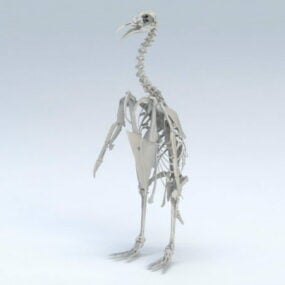 Esqueleto del pingüino emperador modelo 3d