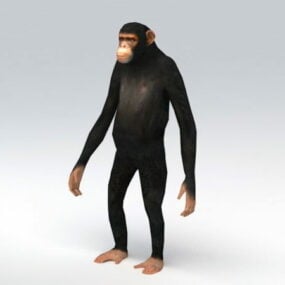アニメーションチンパンジーリグ3Dモデル
