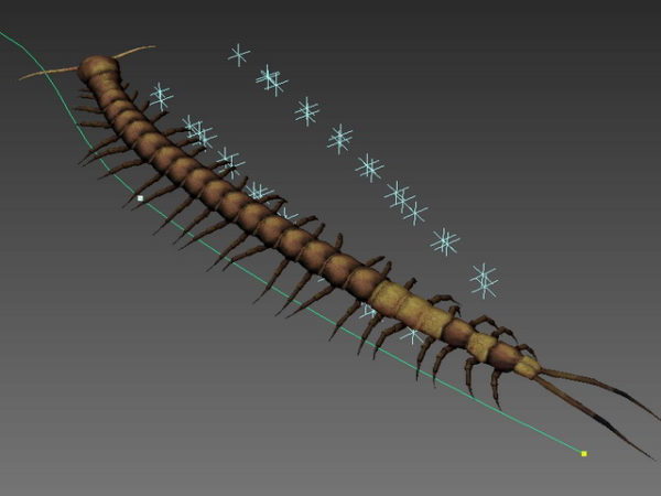 Animated Centipede Rig