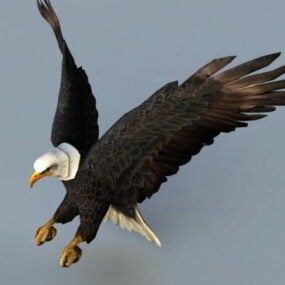 דגם תלת מימד של Eagle Attacking Rig