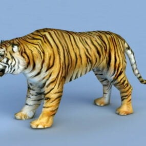 Tiger mönster  Rigged 3D-modell