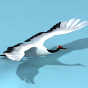 Crane Bird Animated Rig 3d model
