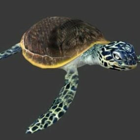 3д модель плавания морской черепахи