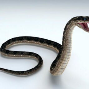 Serangan Snake Rigged Lan model 3d Animasi