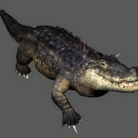 Krokodil greift animiertes Rig 3D-Modell an