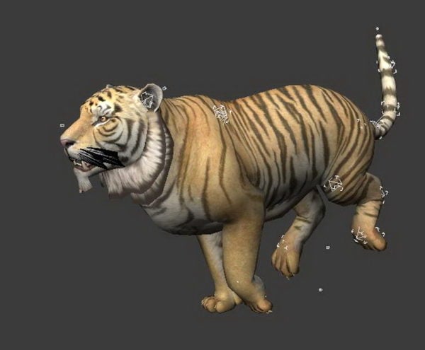 Tiger Running Animation Free 3d Model - .Fbx, .Max - Open3dModel