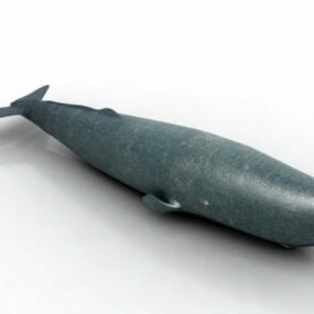 거대한 혹등고래 3d 모델