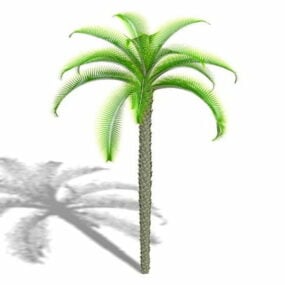 King Sago Palm 3d-modell