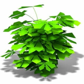 3D model pokojové rostliny Filodendron