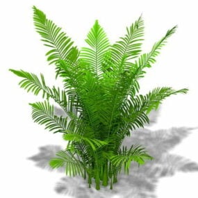 Areca-Palmenpflanze 3D-Modell