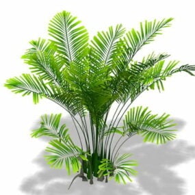 아레카 야자 식물 3d 모델