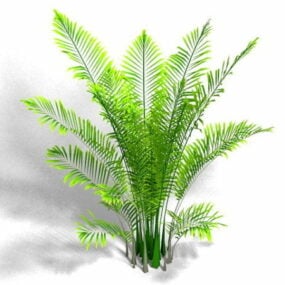 아레카 팜 관엽 식물 3d 모델