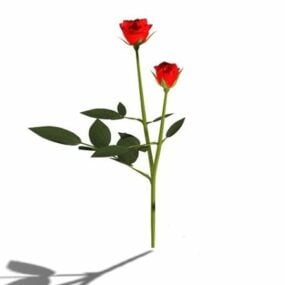 लाल गुलाब के फूल 3डी मॉडल