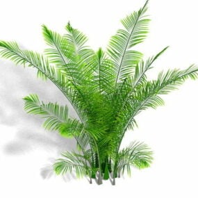 타조 고사리 식물 3d 모델