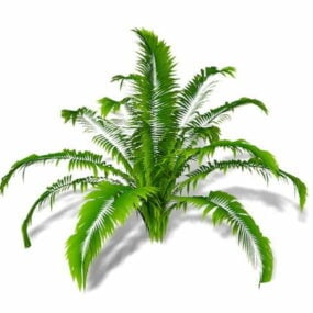 Realistyczny model 3D rośliny paproci