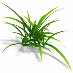 Roślina doniczkowa Trawa Pszenica Model 3D