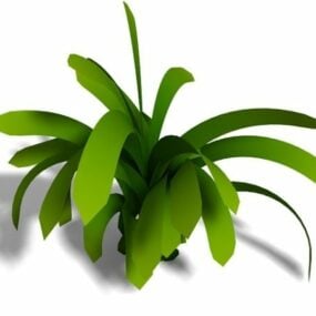 نموذج نبات زنبق الكافير المنزلي ثلاثي الأبعاد