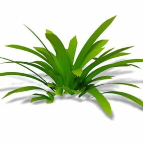 Modello 3d della pianta dell'orchidea Cymbidium