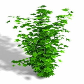 カエデの葉の低木3Dモデル