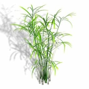 Reed Palm Plant 3d-modell