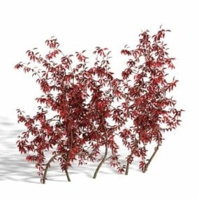 Modello 3d della pianta del cespuglio ardente