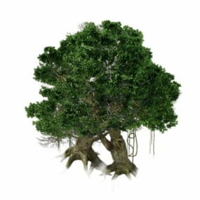 Gammel Sugar Maple Tree 3d-model