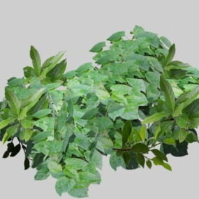 3д модель зеленых листьев