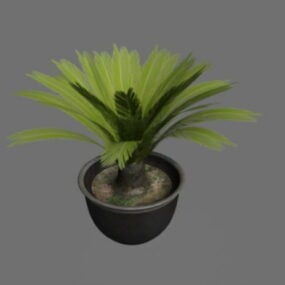 Plantas de palma de sagú en maceta modelo 3d