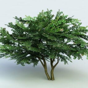 3д модель креп-миртового дерева